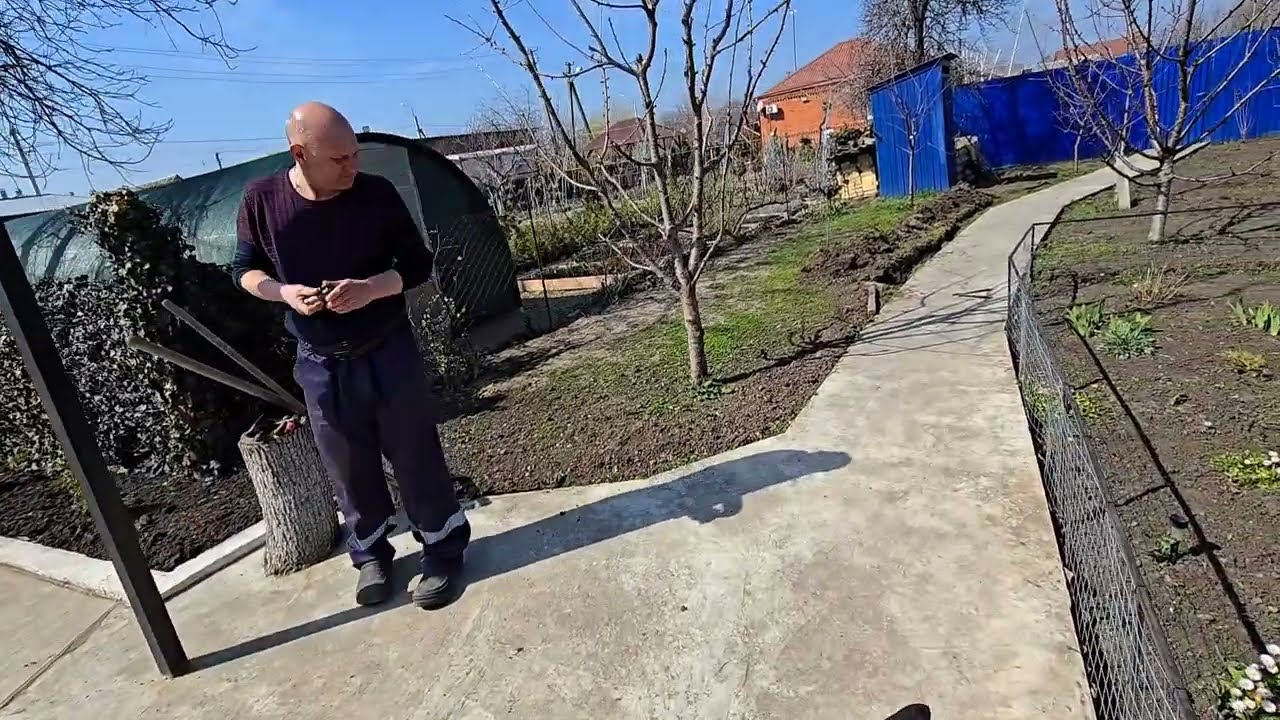 ✨Хозяин все продумал ✨Погода шепчет✨✨️Дела идут✨️