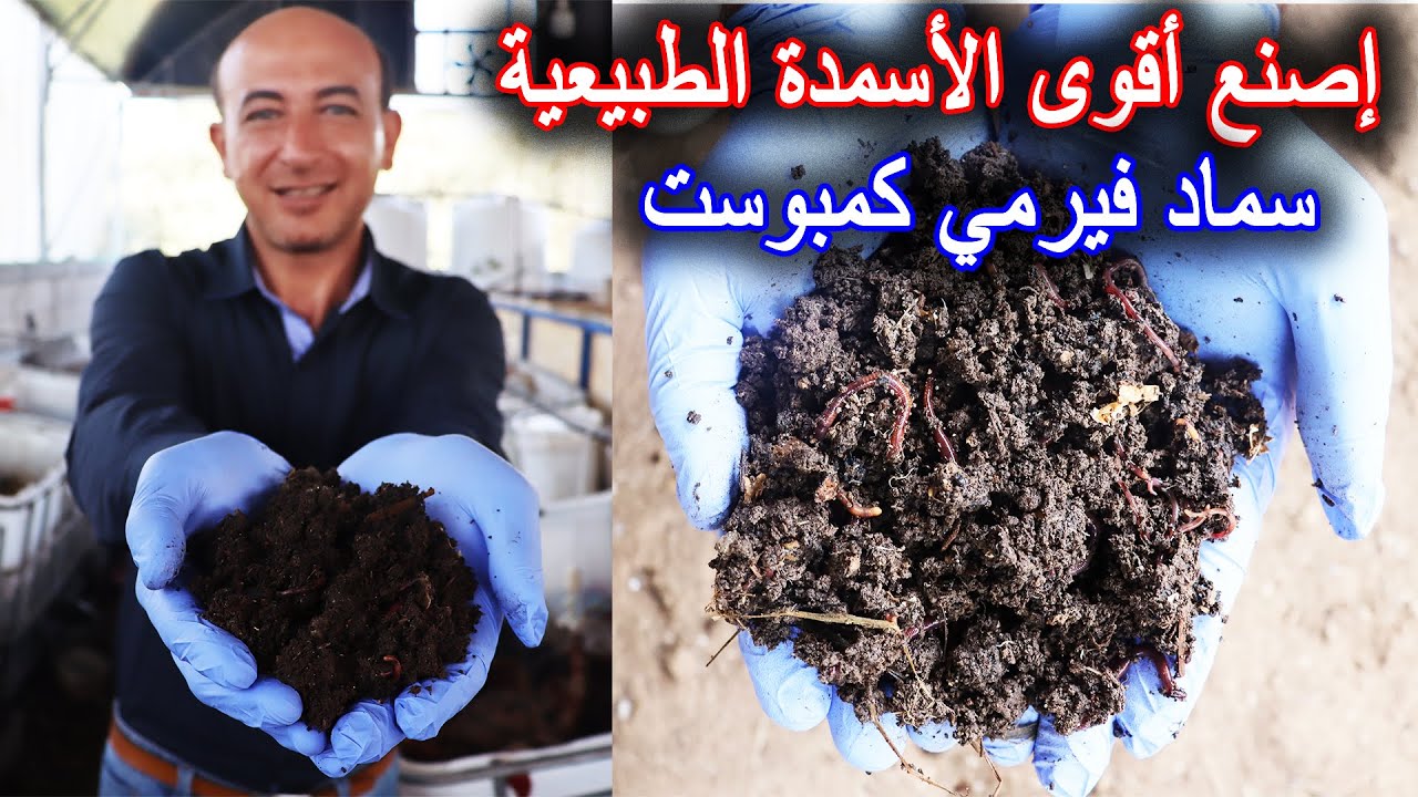 صناعة أقوى الأسمدة العضوية | سماد الفيرمي كمبوست | سماد الديدان
