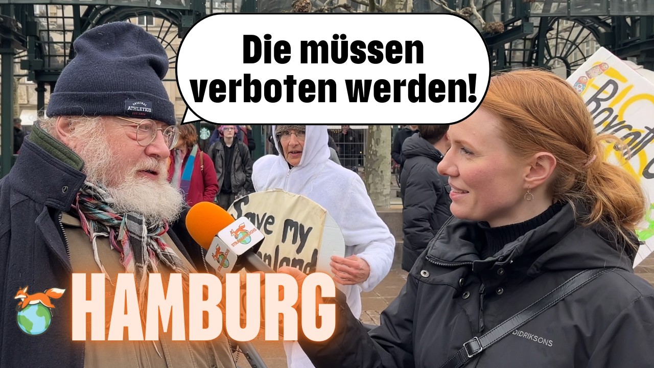 Zukunft ohne AfD? So stellen sich Menschen Deutschland vor | Straßenumfrage