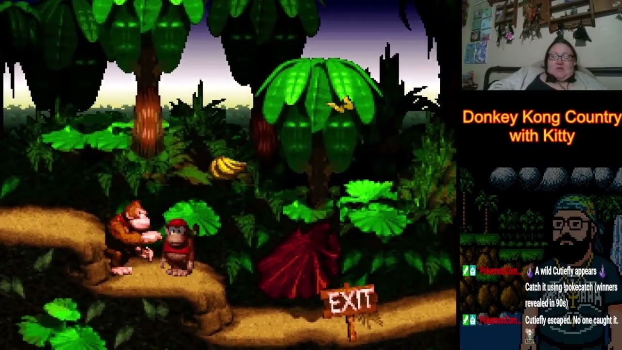 Donkey Kong Country w/ Kitty Part 1