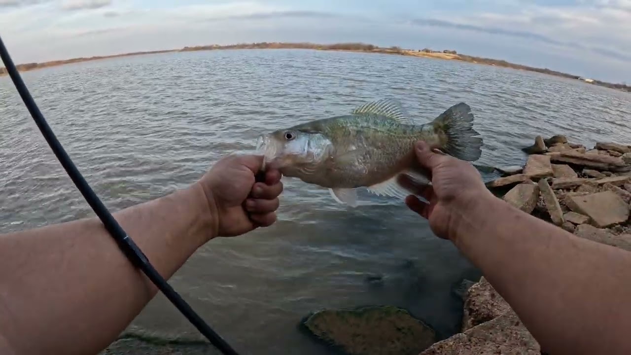 Crappie Fishing, Nope Drum Fishing #Fishing #crappie #crappiefishing #outdoors 