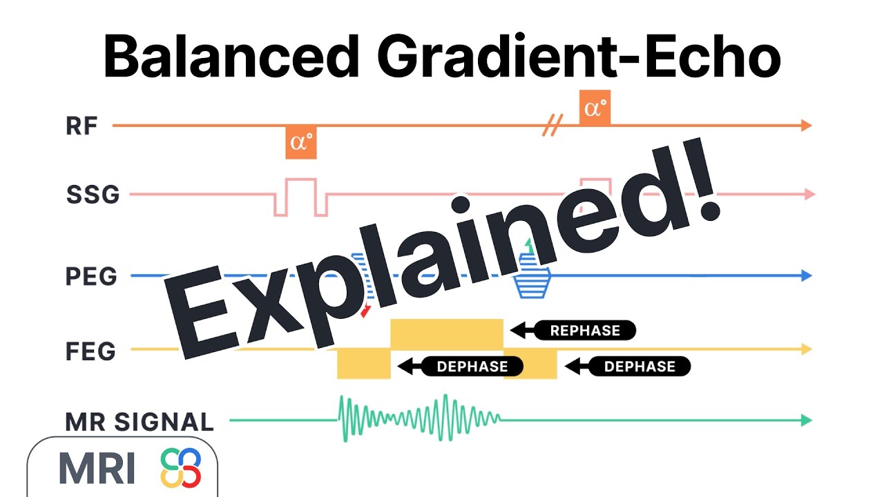 What is a Balanced Gradient Echo pulse sequence? - MRI physics explained