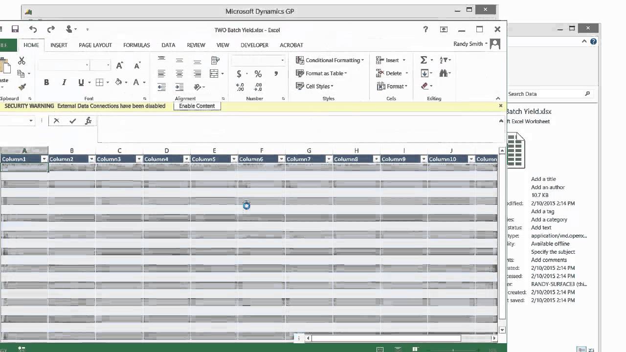 Microsoft Dynamics GP Excel Reports