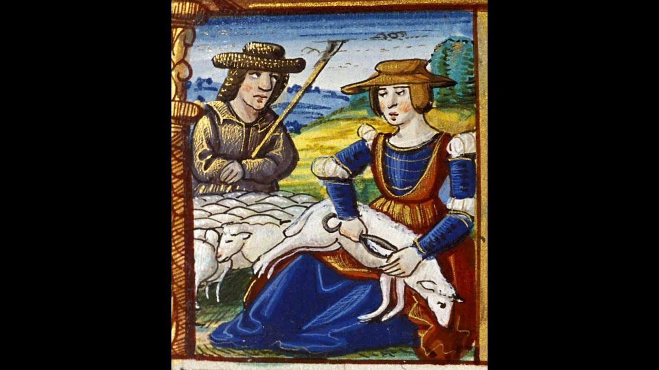 The Shearin's No for You    #folkmusic   folk#scottishtunes  #iddle  #folk_song   #song