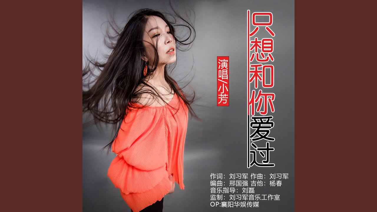 只想和你爱过 (DJ默涵版)