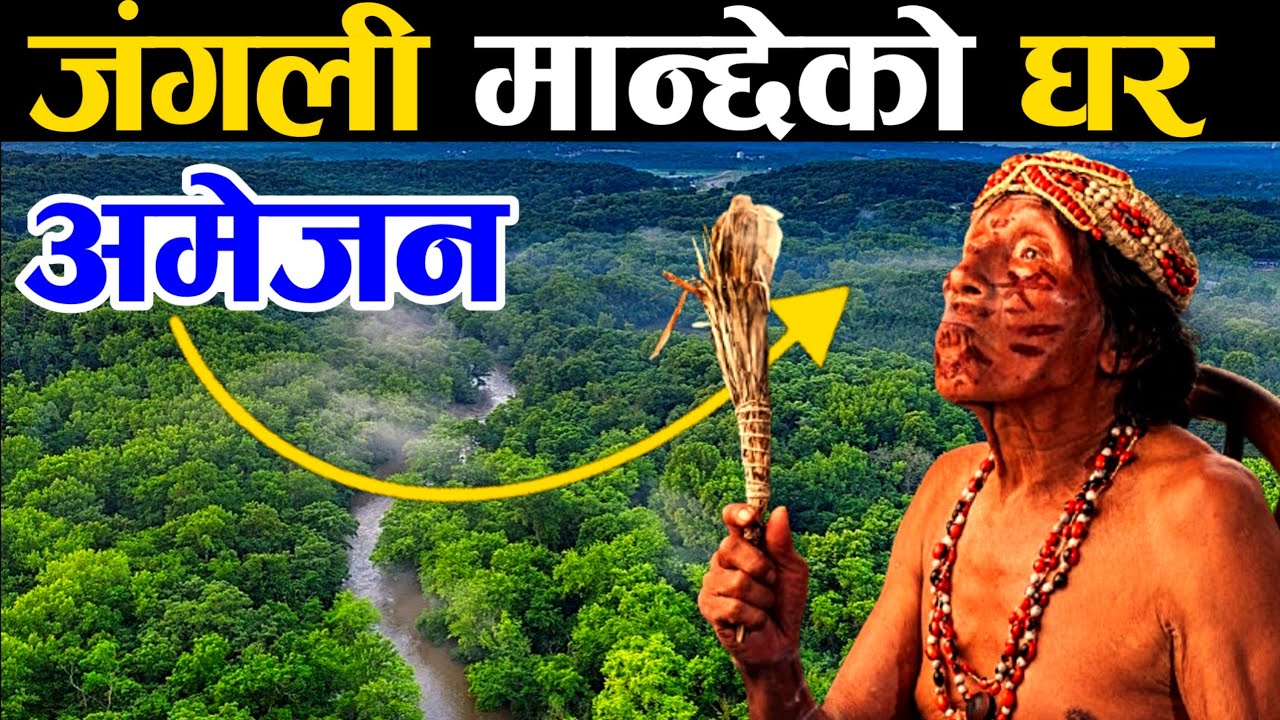 जंगली मान्छेको घर || Facts About the Amazon Rainforest || KNK ADVISE