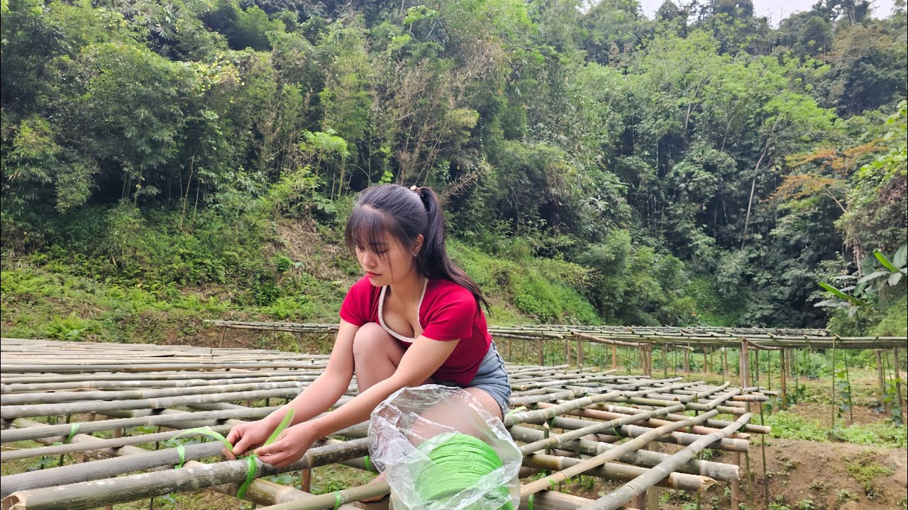Jungle Life Challenge. Make a Green Pumpkin Trellis, Harvest Wild Taro Root, Catch Fish in the Lake