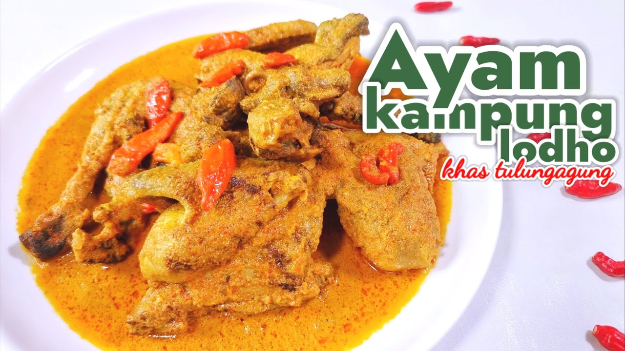AYAM KAMPUNG LODHO KHAS TULUNGAGUNG  -- DAGINGNYA EMPUK SEKALI  ||  AROMA BAKARNYA BIKIN GURIH