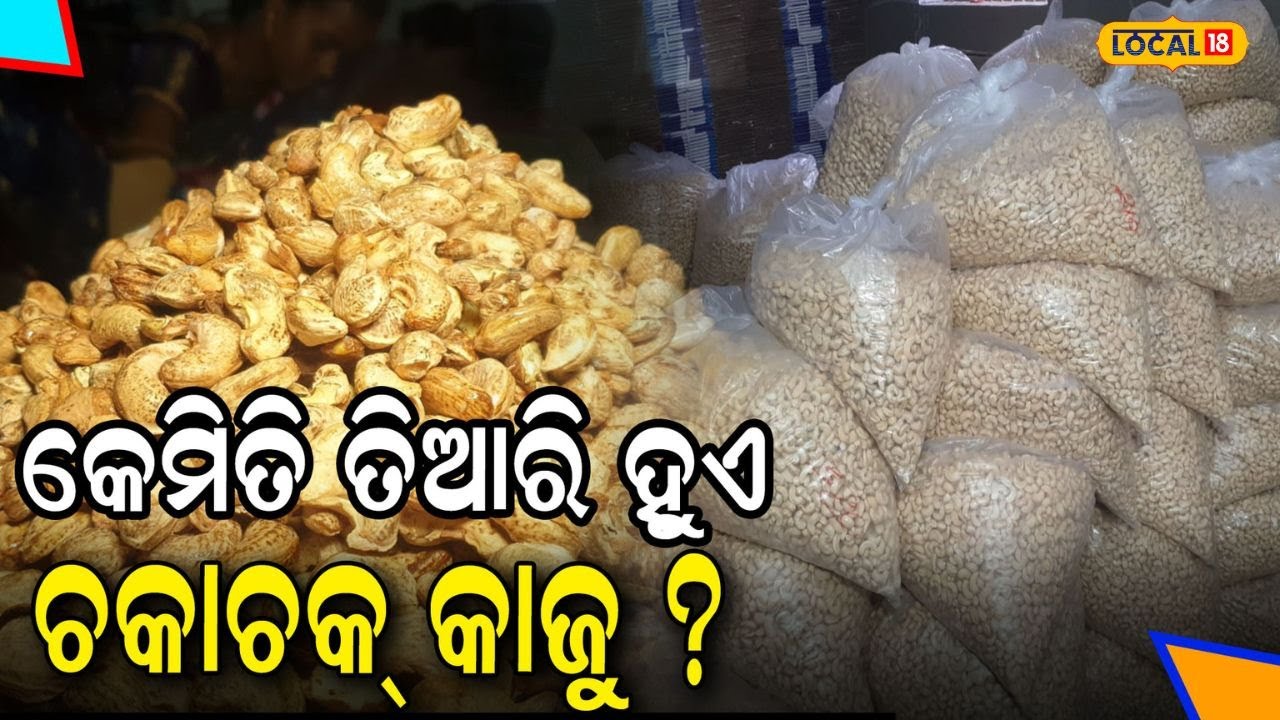 ଆପଣ ଖାଉଥିବା କାଜୁ କିଭଳି ପ୍ରସ୍ତୁତ କରାଯାଏ ଦେଖନ୍ତୁ | preparation Of Cashew #local18