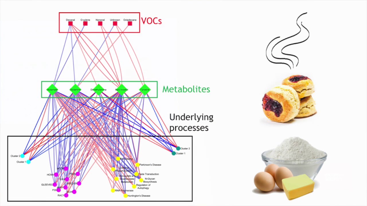 Dr. Rianne Fijten - The biological origin of volatile organic compounds in exhaled breath