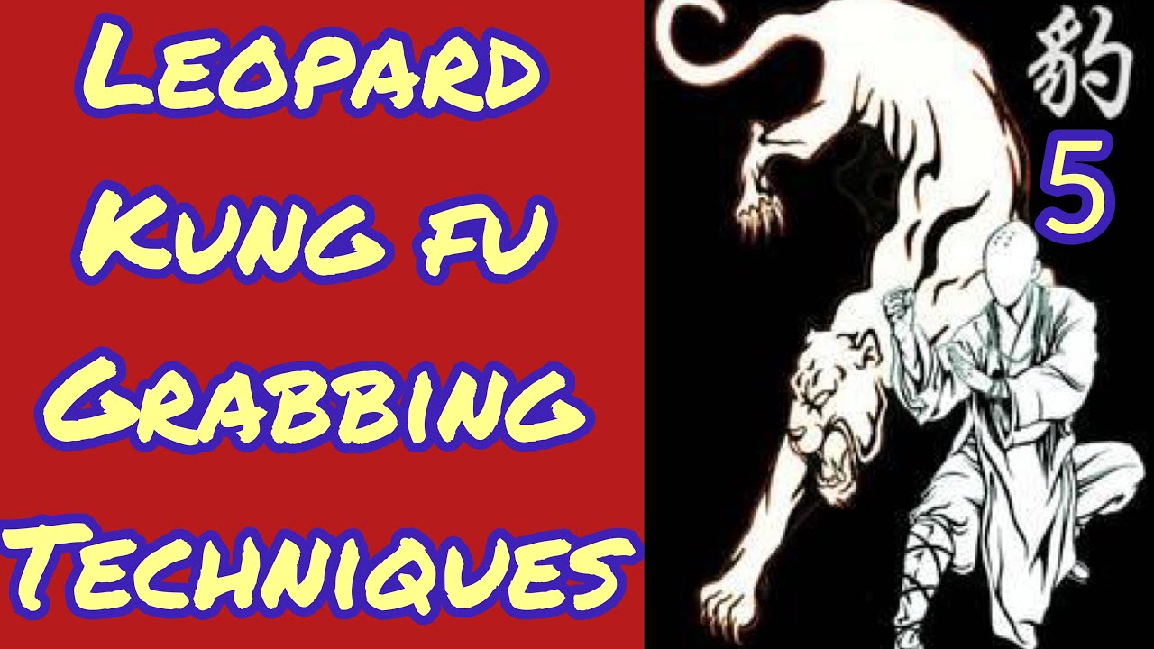 kung fu grabbing technique / leopard kung fu for beginners lesson 5 / 初级豹拳
