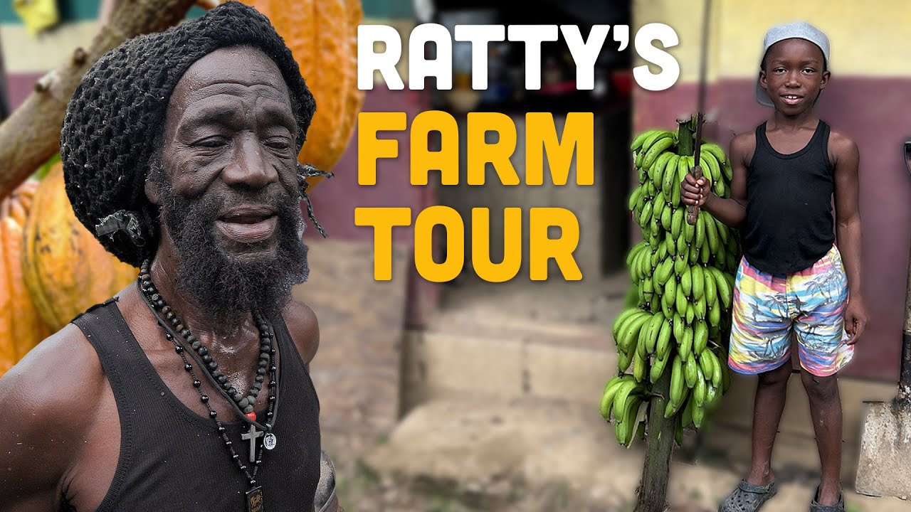 Weird Chocolate, Banana Hands & Sweet Cane! Ratty's Farm tour 🇯🇲