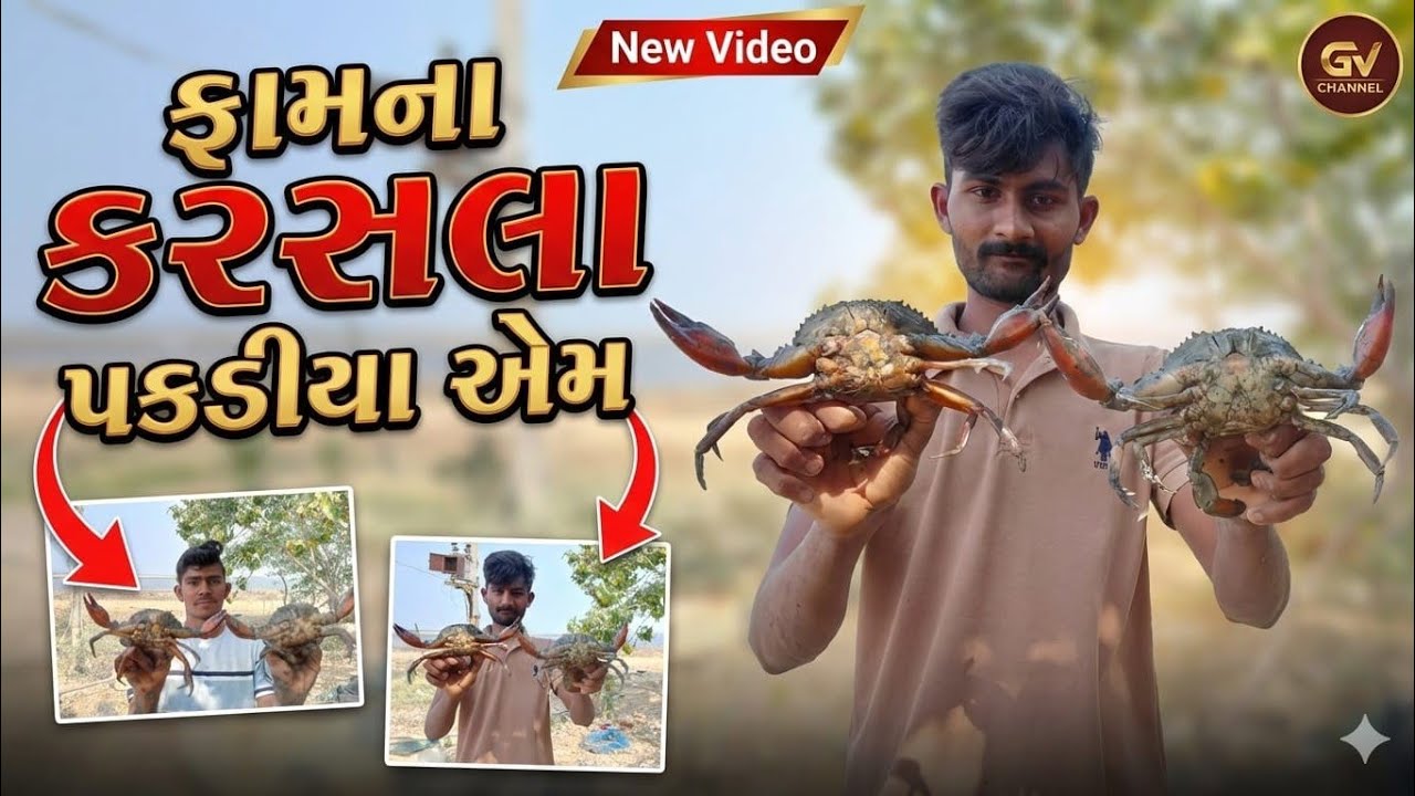 ફામના કરસલા પકડીયા બોયા પકડીયા કોકરા પકડીયા 🦀🦈🐠