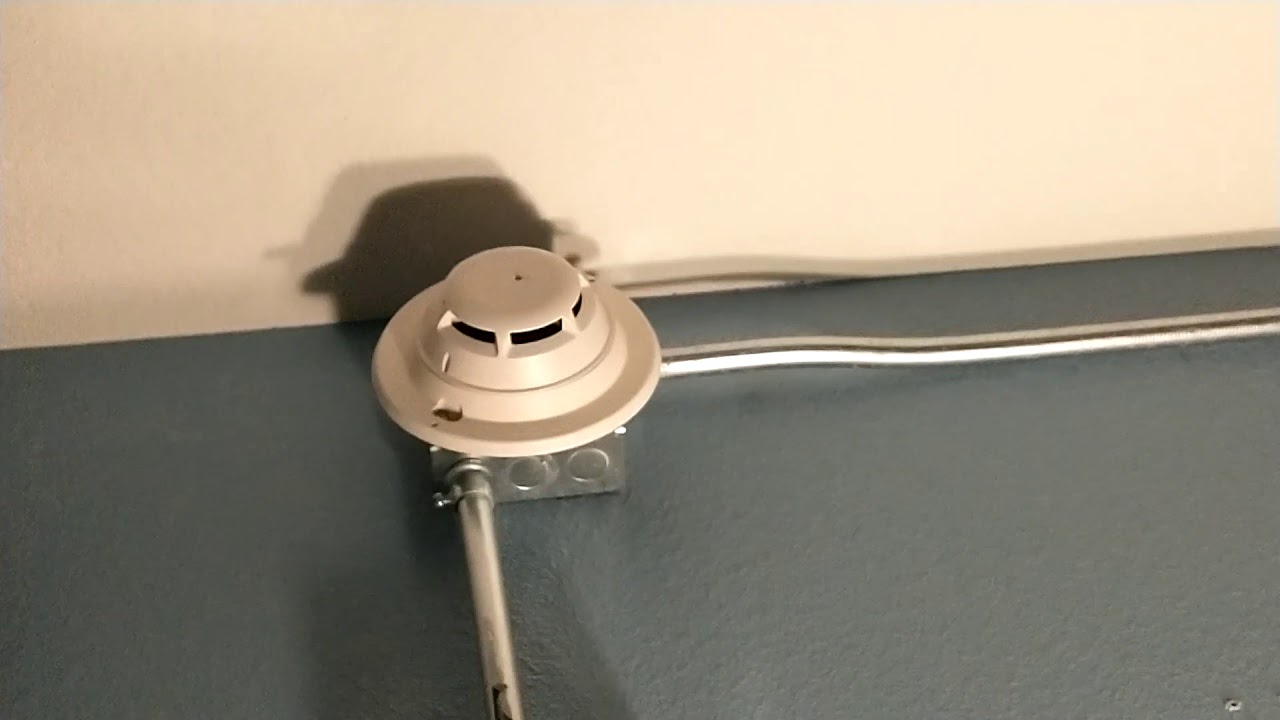 Siemens FC901 Test 2
