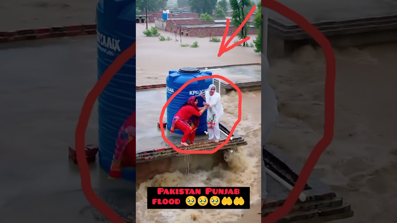 Surviving The Punjab Flood Disaster