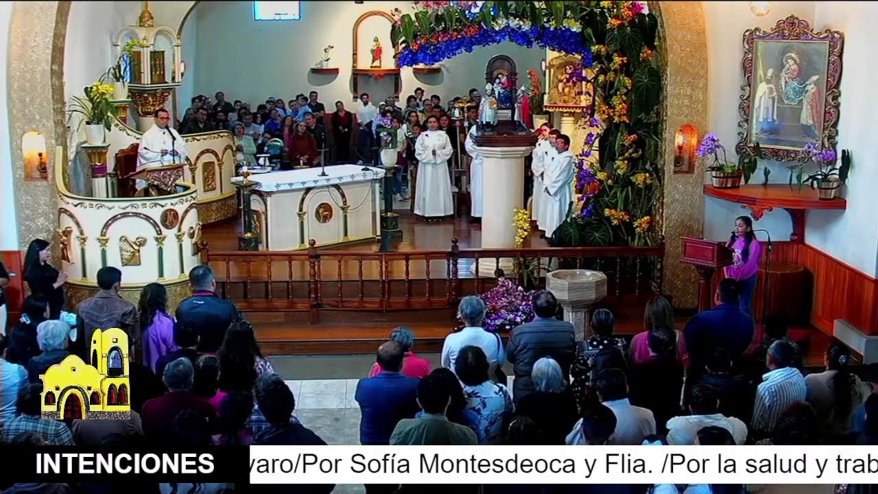 Misa online  Parroquia Santa María del Vergel Domingo 30 de junio 11H00