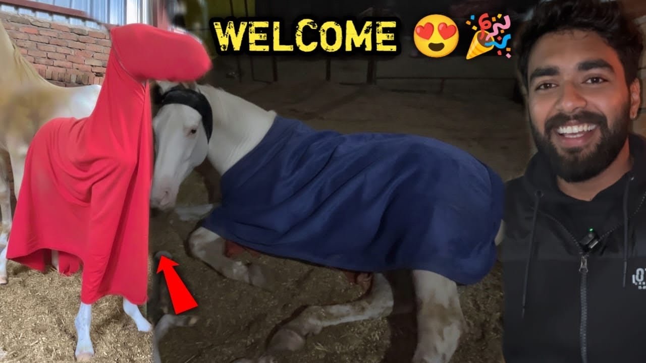 New born Baby 🤩Badhai Ho 🥳Apsara माँ Ban Gyi 🥰Or Chetika बहन Ban Gyi 😘Bohot cute Hai 💕