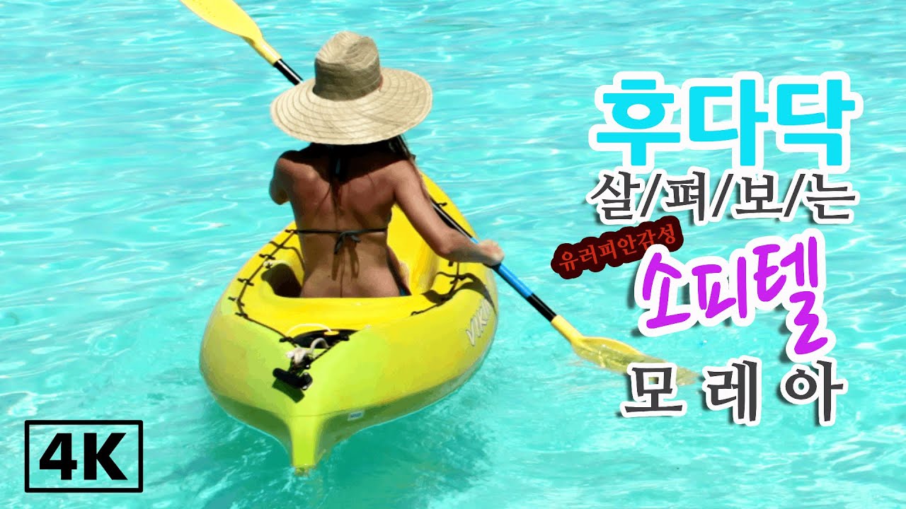 [타히티홀리데이]  후다닥 살펴보는 유러피안 감성 소피텔 모레아 !