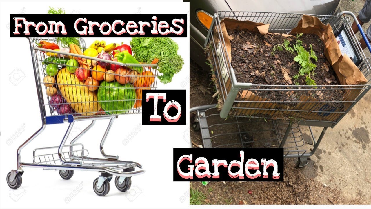 Watermelon Garden in a Shopping Cart