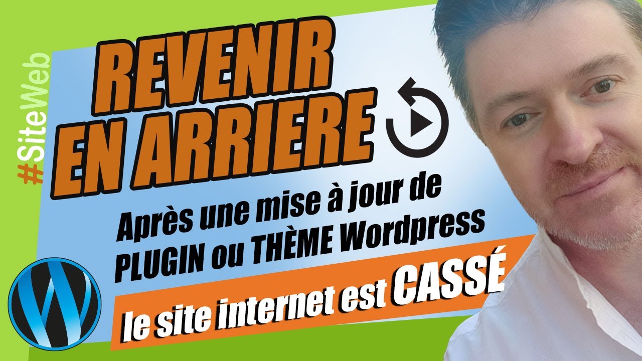 Comment annuler la mise à jour d'un plugin wordpress et d'un thème et revenir en arrière
