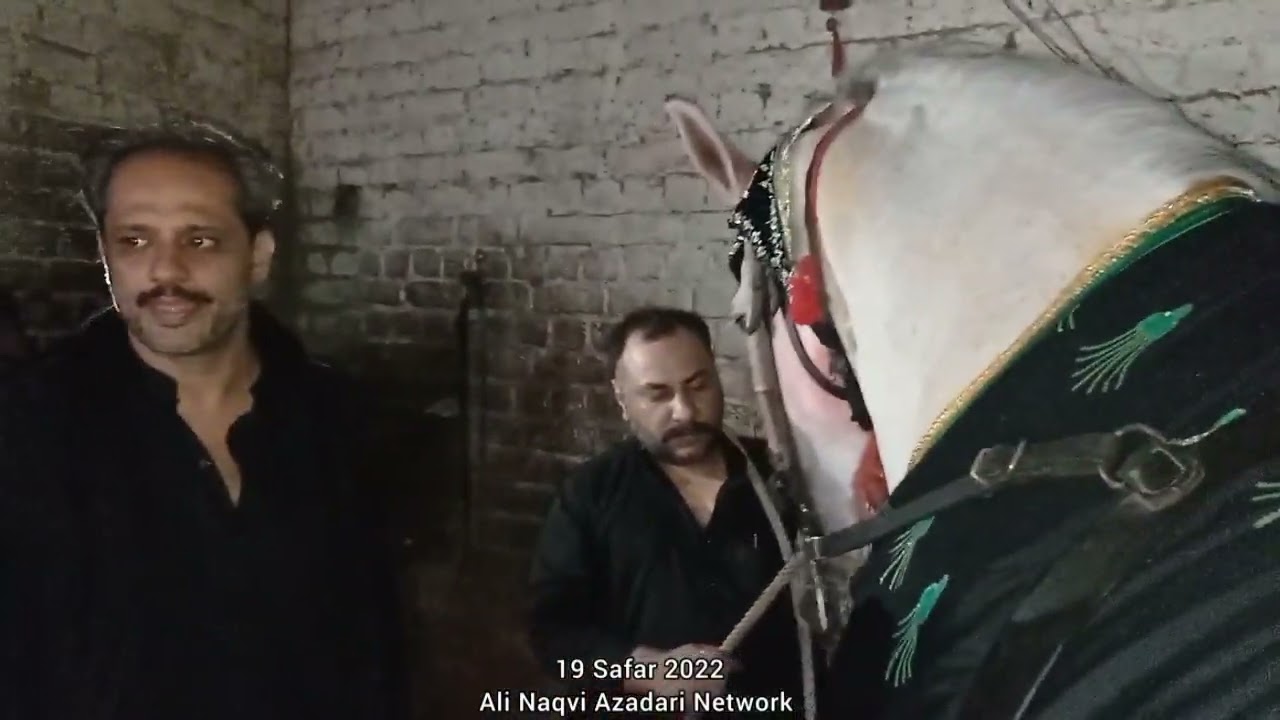 19 Safar 2022 | Murtajiz Badshah | Katra Wali Shah Lahore | Part 1 | @AliNaqviAzadariNetwork