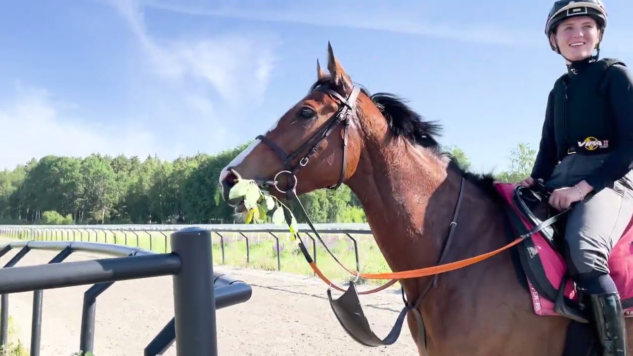Möt galopphästen Little Arabella på Bro Park