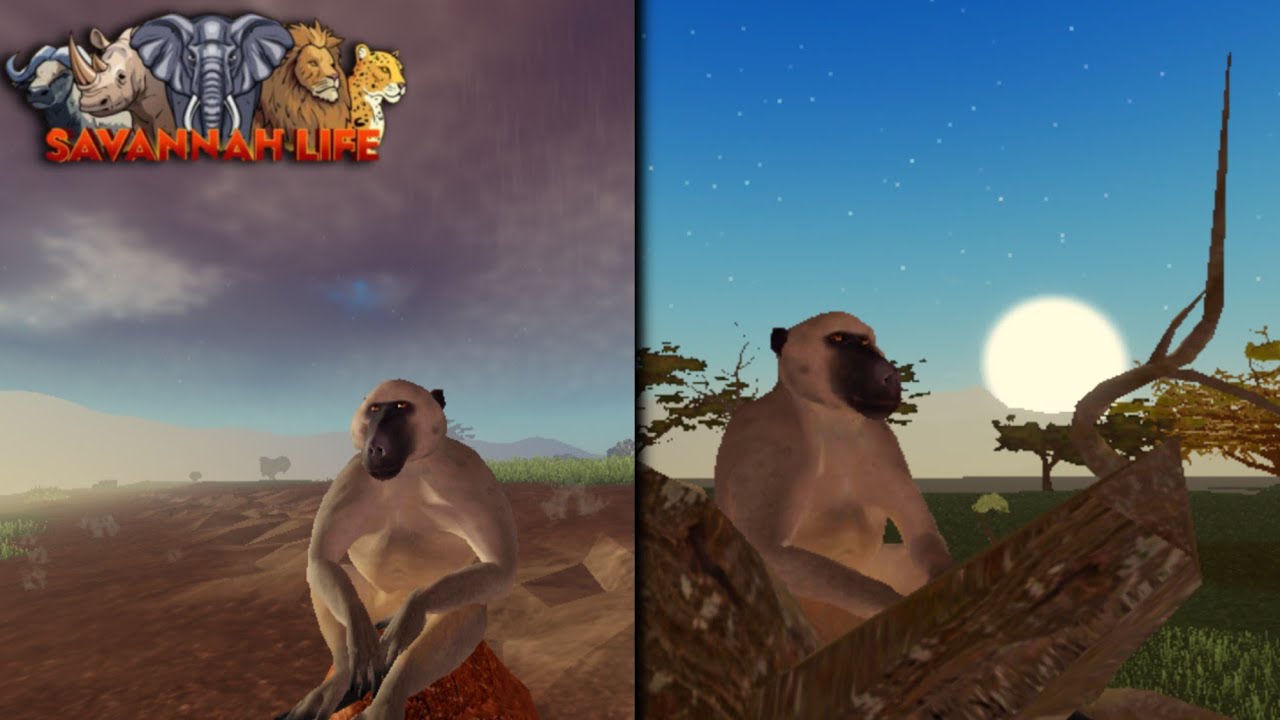 New update Savannah life!! | Savannah Life Roblox | Baboon GamePlay
