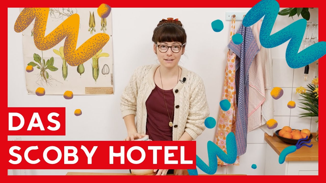 Das SCOBY Hotel I Der Kombucha Urlaub