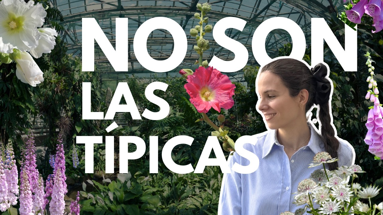 Top 5 plantas con flor✨ espectaculares pero difíciles en clima seco