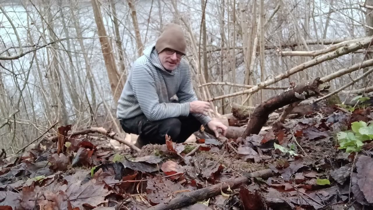 Гуру бизнеса, перестаньте говорить, что для бизнеса вам не нужны деньги! #squibbchallenge #busine...