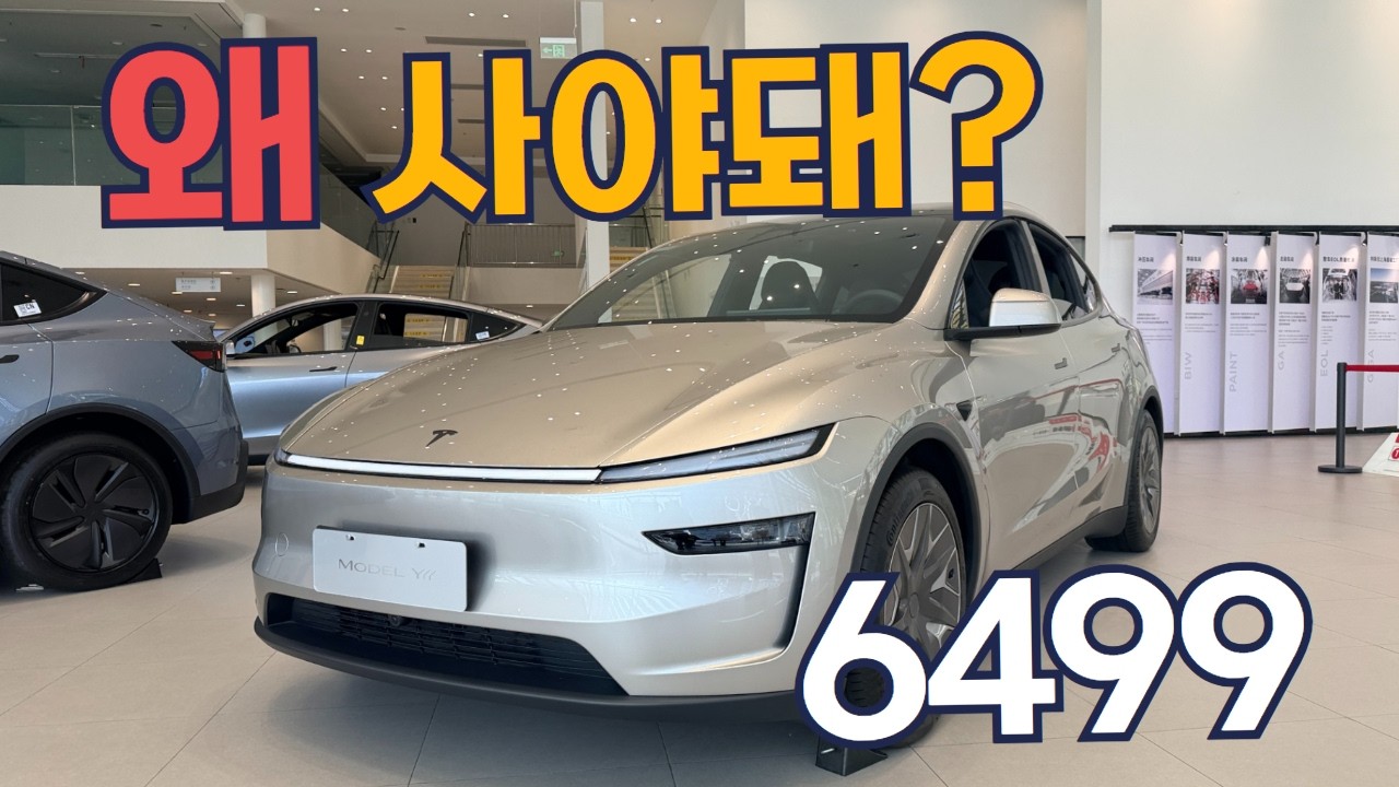 6499 모델 Y L, 사야 하는 이유 3가지 (직접 타보고 느낀 결론)