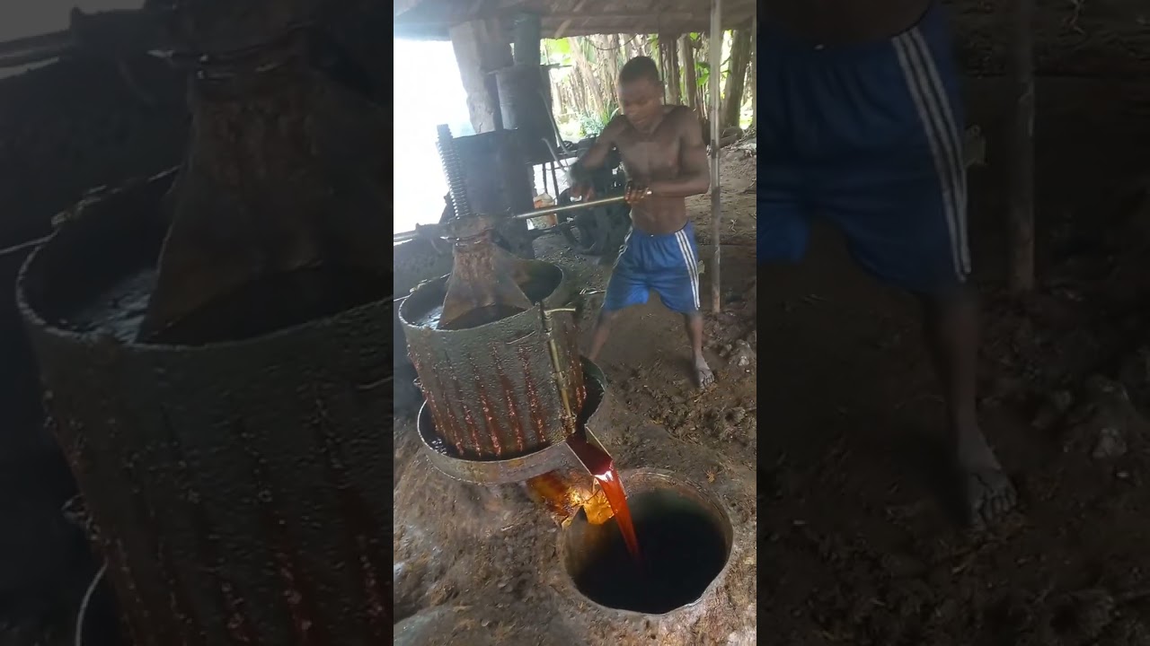 Процесс производства пальмового масла