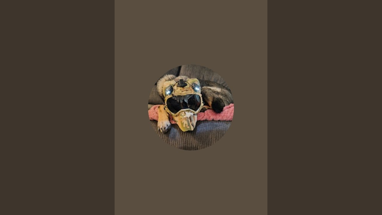 Xena the K9 warrior  is live