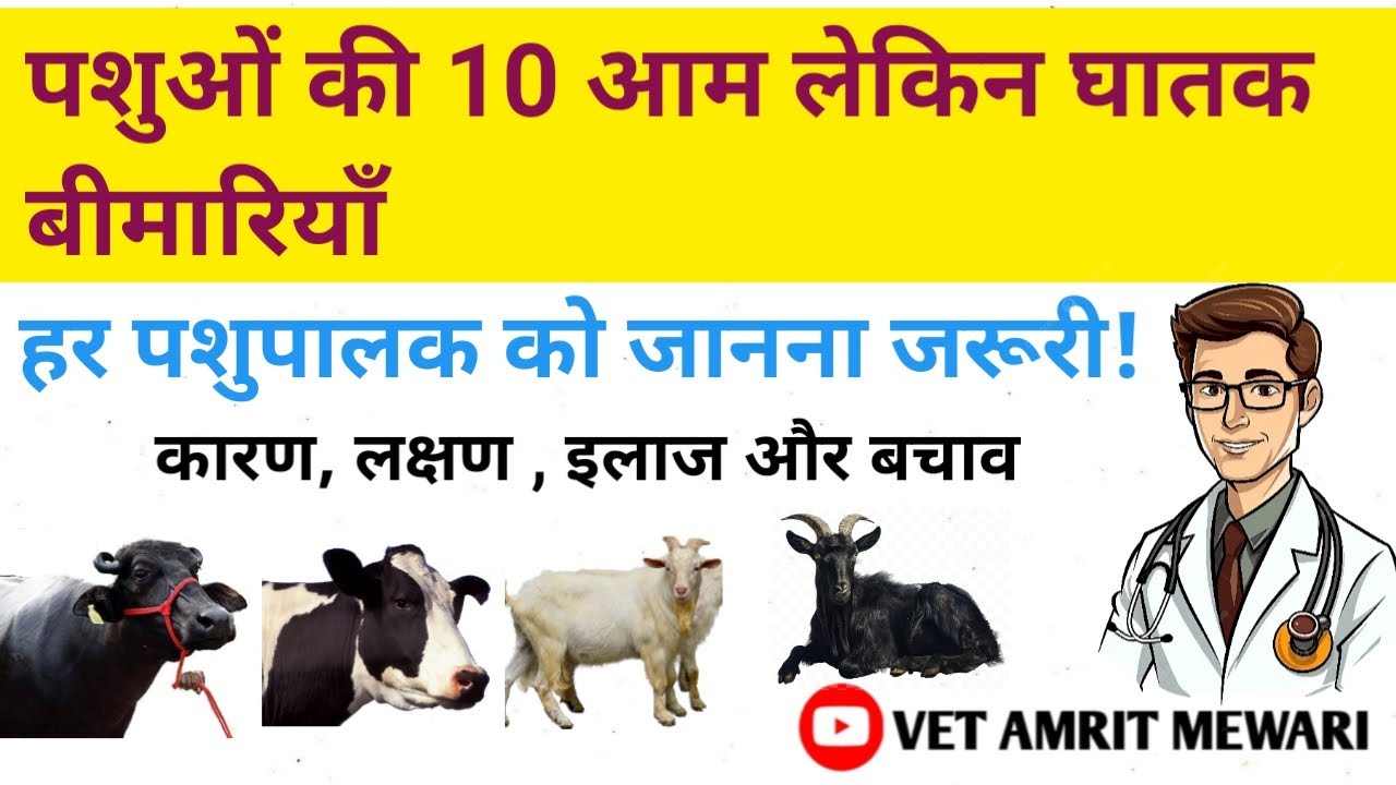 पशुओं की मुख्य 10 बीमारियाँ | कारण, लक्षण और बचाव | Animal Diseases in Hindi |