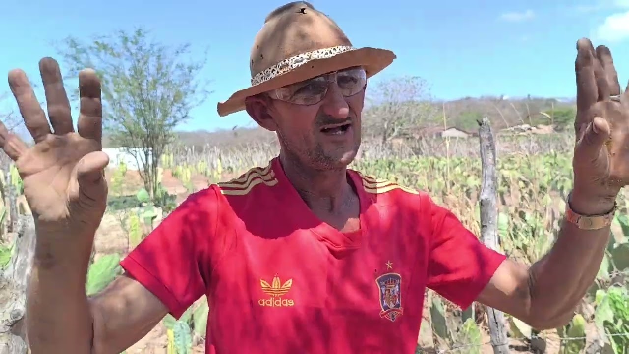 Benedito e seus gabiru