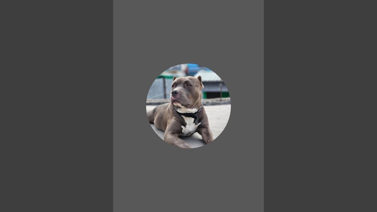 imbillionare_6 is live