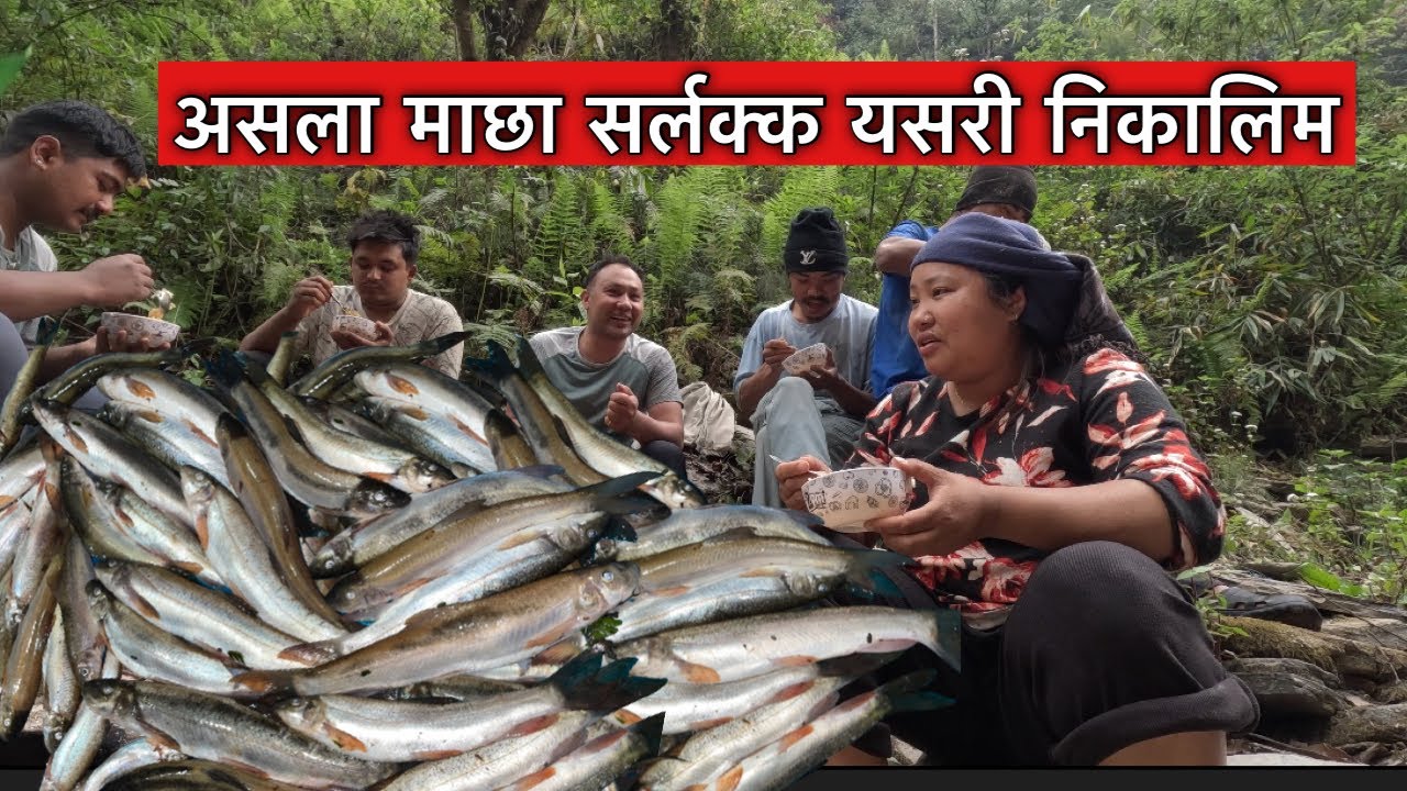 असला माछा मार्न पुरै टिम टिम मिल्नुपर्छ\ दरम खोलामा\fishing in village\Susmita Gharti\