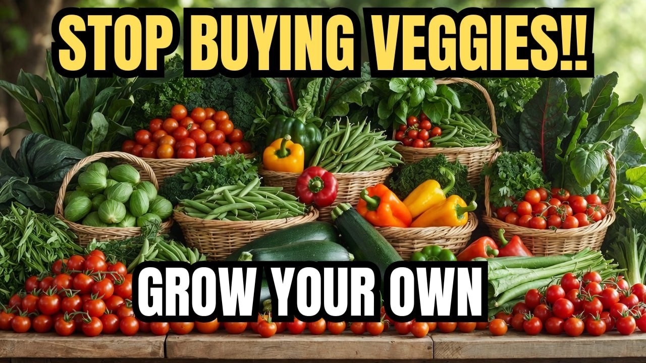 😍7 High-Yield Crops That Save Thousands | 👌 I Stopped Buying Vegetables After Growing These 7 Plants