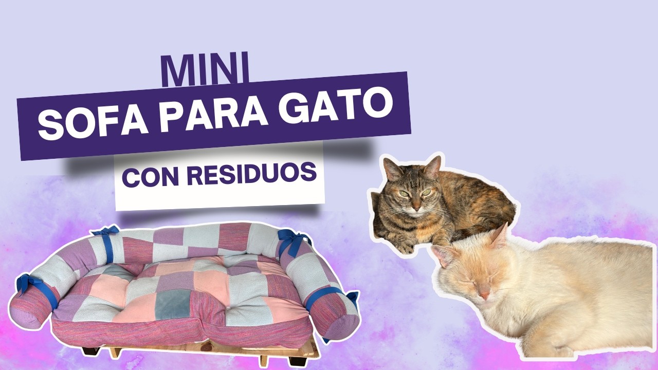 Reutilizando cosas sin uso | Sofa para gatos