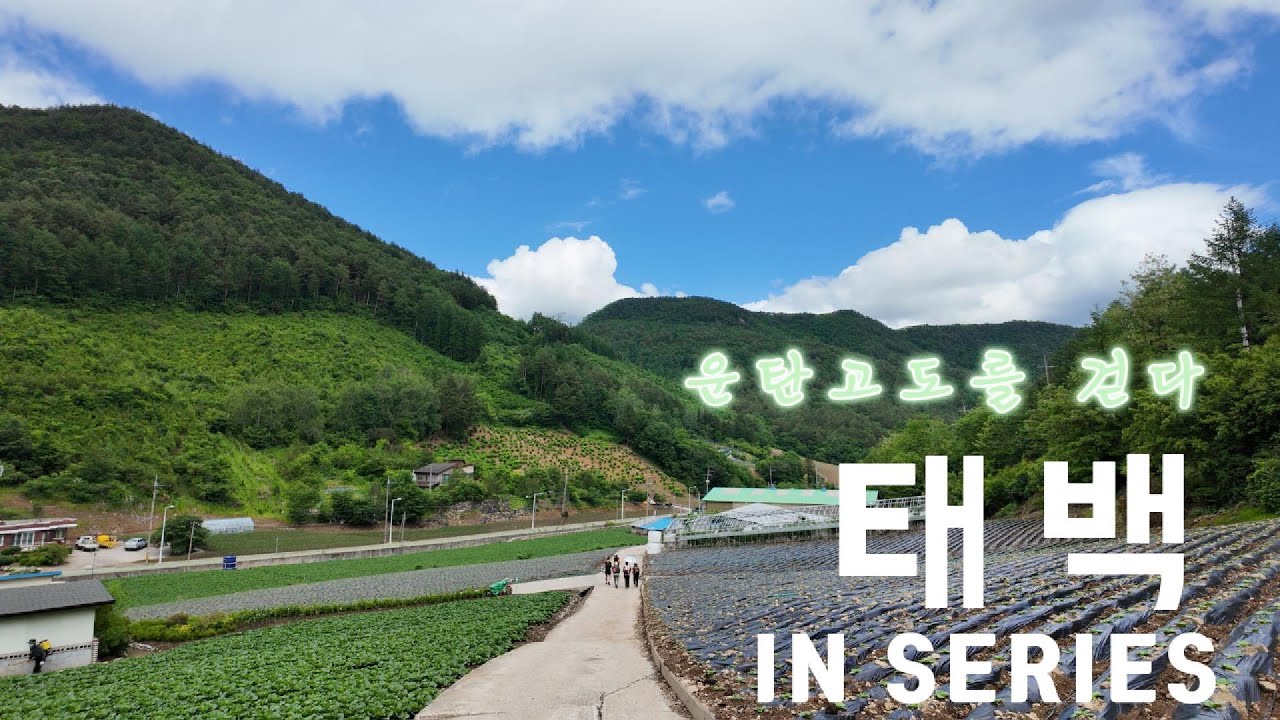 In Series 태백 | 국도부인 운탄고도를 걷다