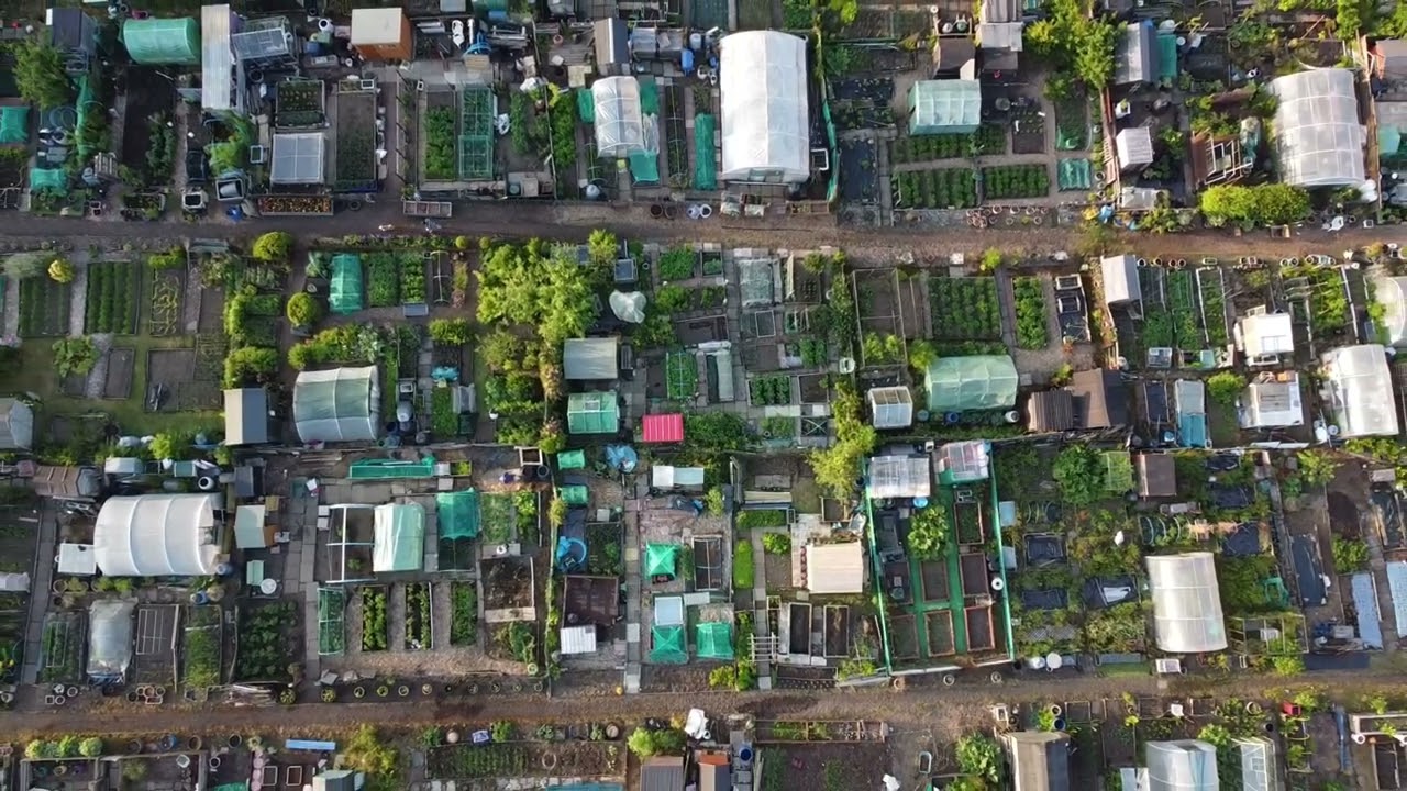 Lammermoor Allers allotments East Kilbride
