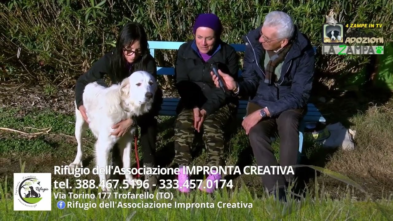 ASSOCIAZIONE IMPRONTA CREATIVA TROFARELLO (21) Puntata 1549