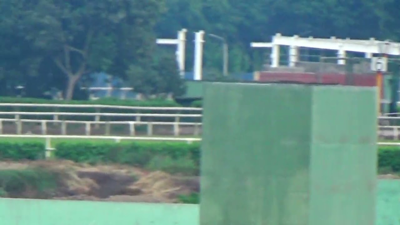 Suecia (Singe The Turf) H. Rancho Fatima 03.03.26