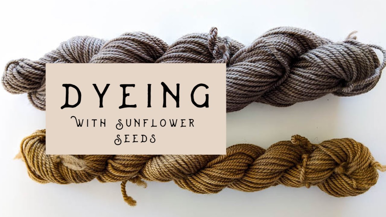 Natural Dyes From Plants: Dyeing with Sunflower Seeds