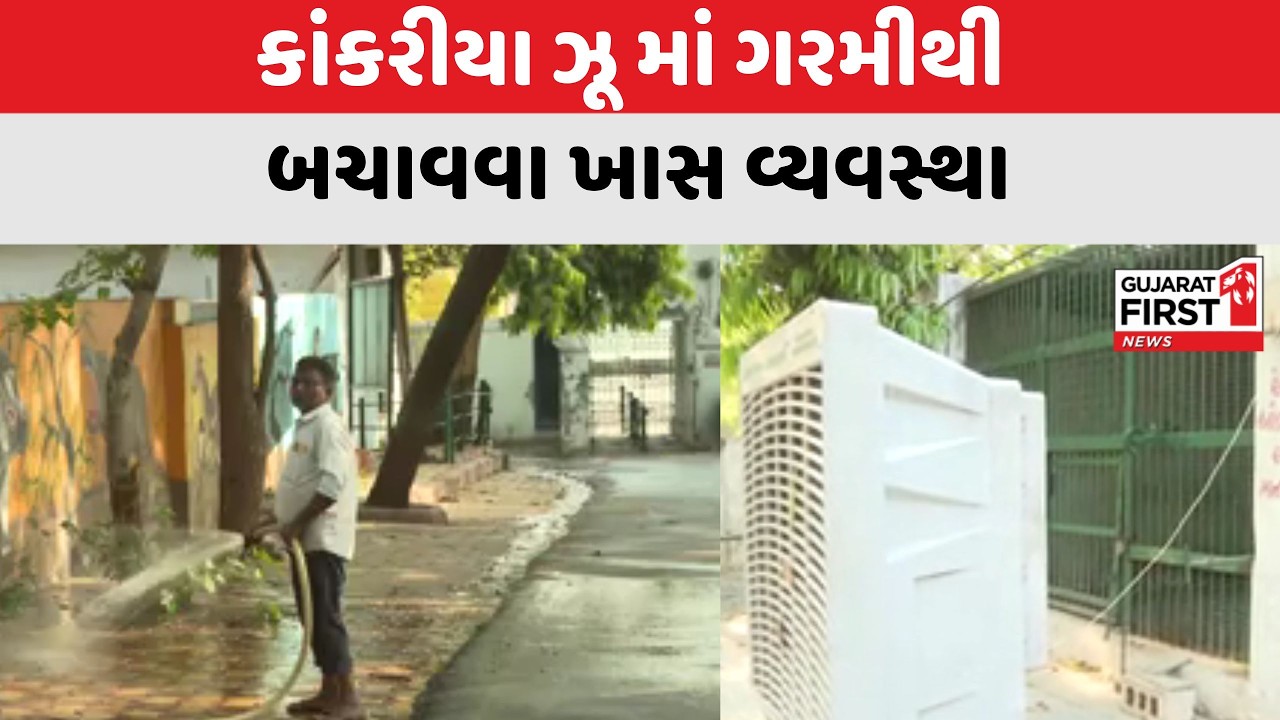Ahmedabad : કાંકરીયા ઝૂ માં ગરમીથી બચાવવા ખાસ વ્યવસ્થા । Gujarat First