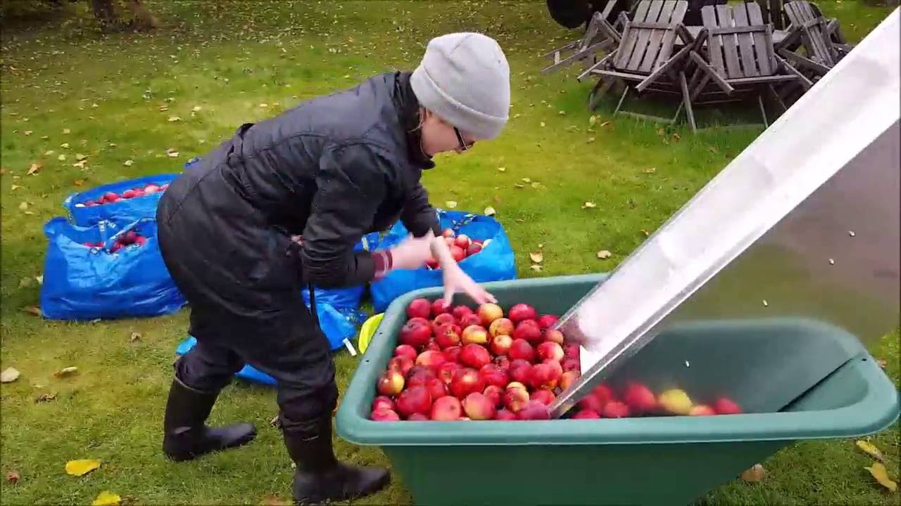 DIY Cider Press - Cider Making 2016