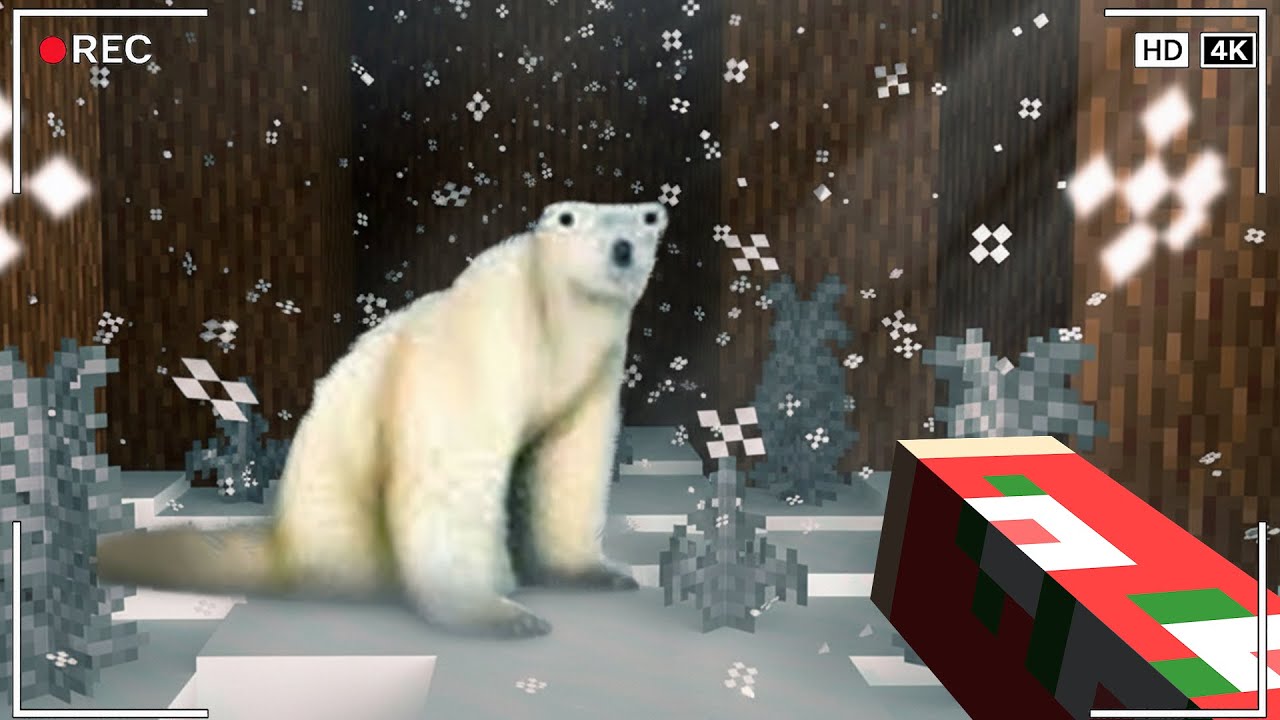 O ICE BEAR VEIO PARA SE VINGAR DOS HUMANOS!