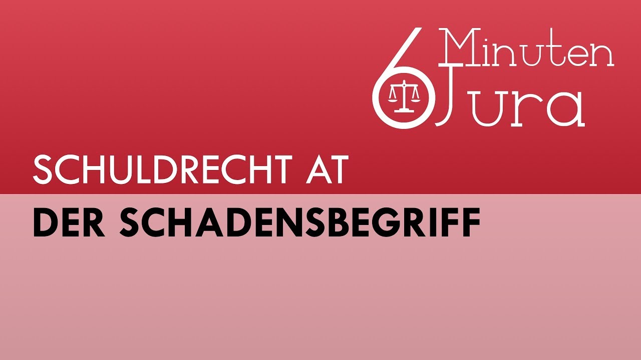Der Schadensbegriff #10
