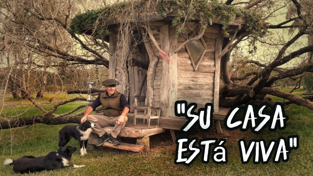 ¡Ver para CREER!: Creó una CASA 