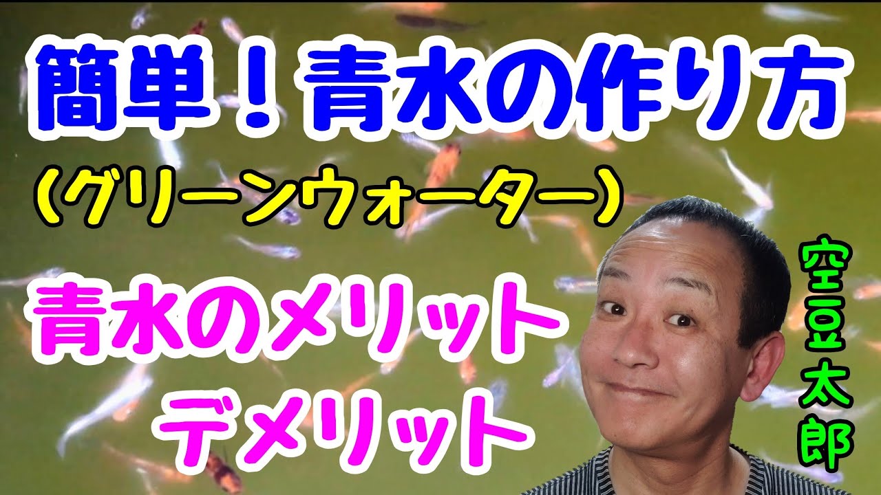 簡単！青水の作り方　グリーンウォーターのメリットとデメリット